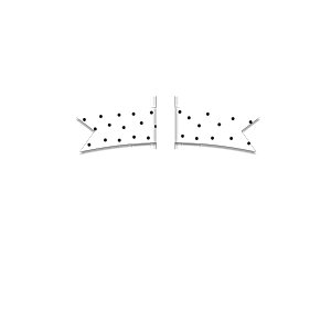 mywish by mehwish logo whitesmall